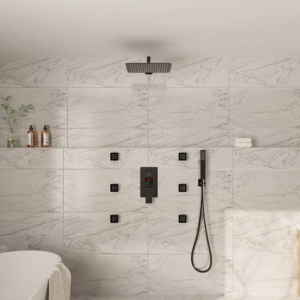 Body Jet & Massage Shower Fit